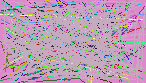 phone reverse lookup